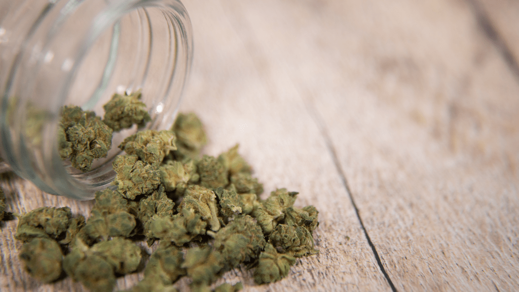 Building a Compliant Cannabis Supply Chain Through Technology